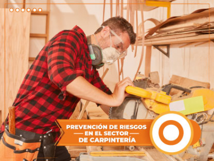 PREVENCIрN DE RIESGOS EN EL SECTOR DE CARPITENRжA