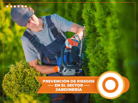 PREVENCIрN DE RIESGOS EN EL SECTOR JARDINERжA