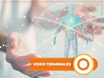 VIDEO TERMINALES