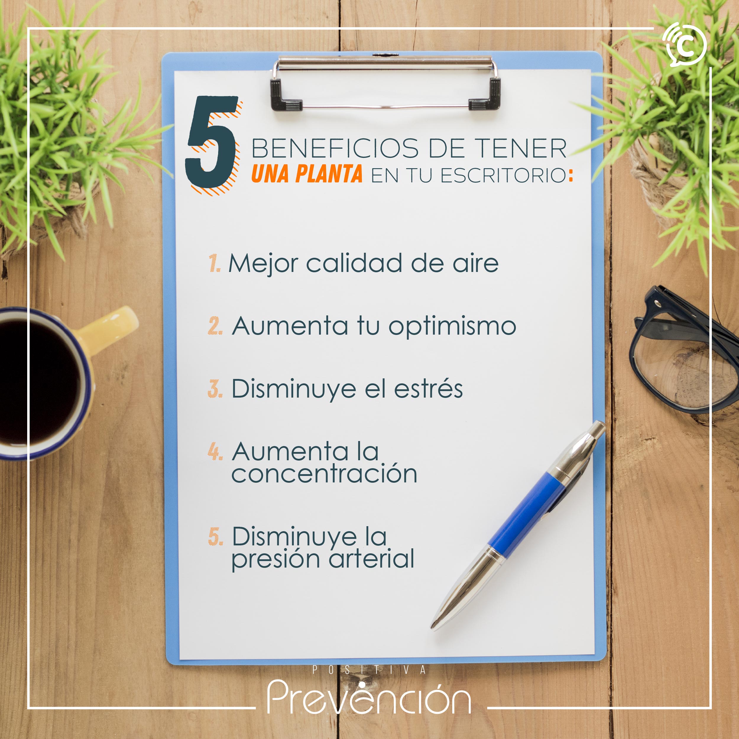 5 beneficios de tener una planta en tu escritorio