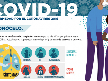 Enfermedad por el coronavirus (Covid-19)