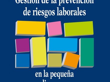Gestión de la prevención de riesgos laborales en la pequeña y mediana empresa