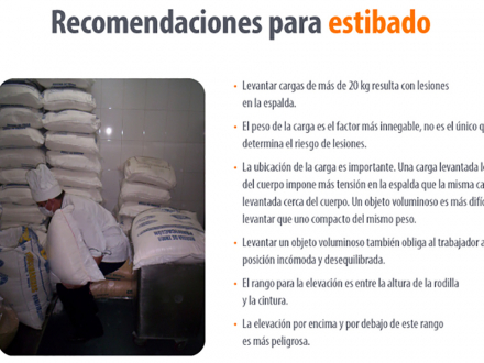 Recomendaciones para estibado