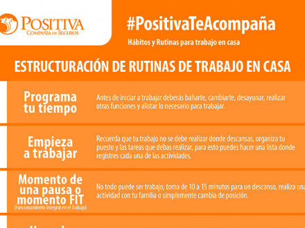 Estructuración de rutinas de trabajo en casa