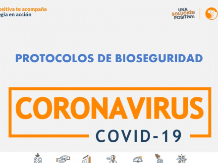 Protocolos de bioseguridad