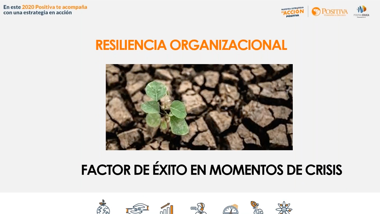 Resiliencia organizacional, factor clave de éxito en tiempos de crisis