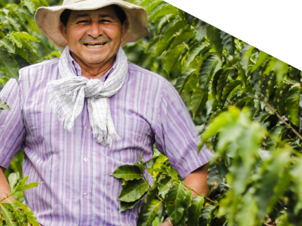 Guía práctica para la prevención y mitigación del covid-19 en la agricultura