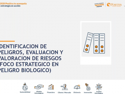 Identificación de peligros, evaluación y valoración de riesgos (foco estratégico en peligro biológico)