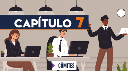 Capítulo 7: Comités (administración pública)