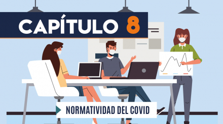 Capítulo 8: Normatividad COVID-19 (administración pública)