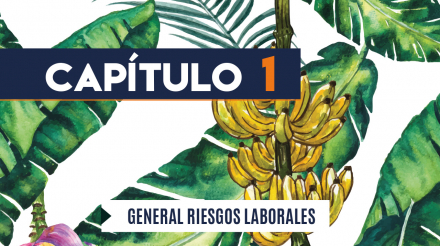 Capítulo 1: General riesgos laborales (agricultura, banano)