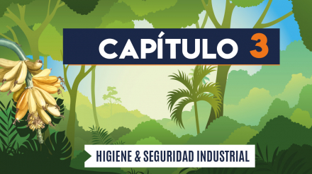 Capítulo 3: Higiene y seguridad industrial (agricultura, banano)