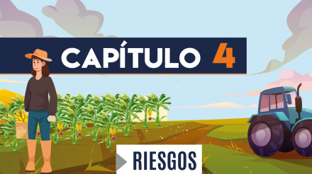 Capítulo 4: Riesgos (agricultura, banano)