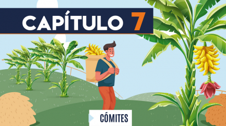 Capítulo 7: Comités (agricultura, banano)