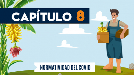 Capítulo 8: Normatividad COVID-19 (agricultura, banano)