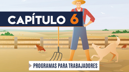 Capítulo 6: Programa para trabajadores (agricultura, transversal)