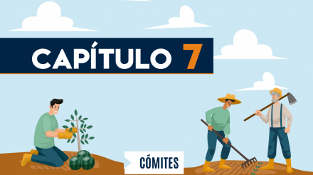 Capítulo 7: Comités (agricultura, transversal)