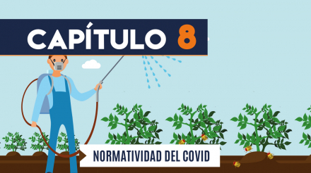 Capítulo 8: Normatividad COVID-19 (agricultura, transversal)