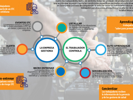 Estrategia para la prevención del síndrome del túnel carpiano (plegable)