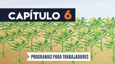 Capítulo 6: Programa para trabajadores (agricultura, banano)