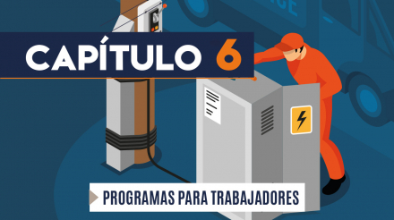 Capítulo 6: Programa para trabajadores (eléctrico)