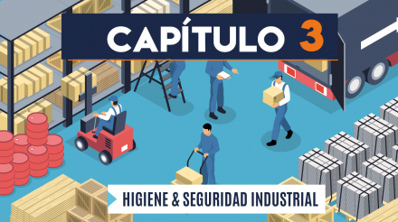 Capítulo 3: Higiene y seguridad industrial (transporte de carga)