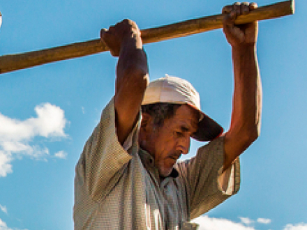 La salud músculo esquelética está en nuestras manos (afiche, versión 8)
