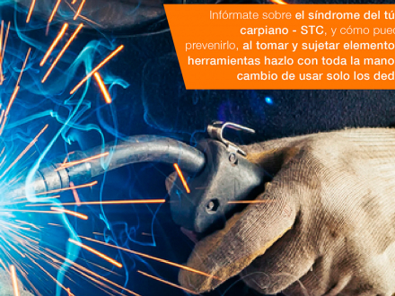 La salud músculo esquelética está en nuestras manos (afiche, versión 11)