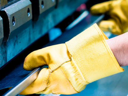 La salud músculo esquelética está en nuestras manos (afiche, versión 12)