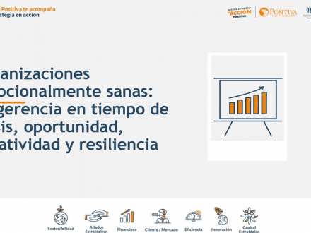Organizaciones emocionalmente sanas: La gerencia en tiempo de crisis, oportunidad, creatividad y resiliencia
