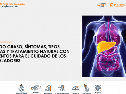 Hígado graso, síntomas- tipos, causas y tratamiento natural con alimentos para el cuidado de los trabajadores