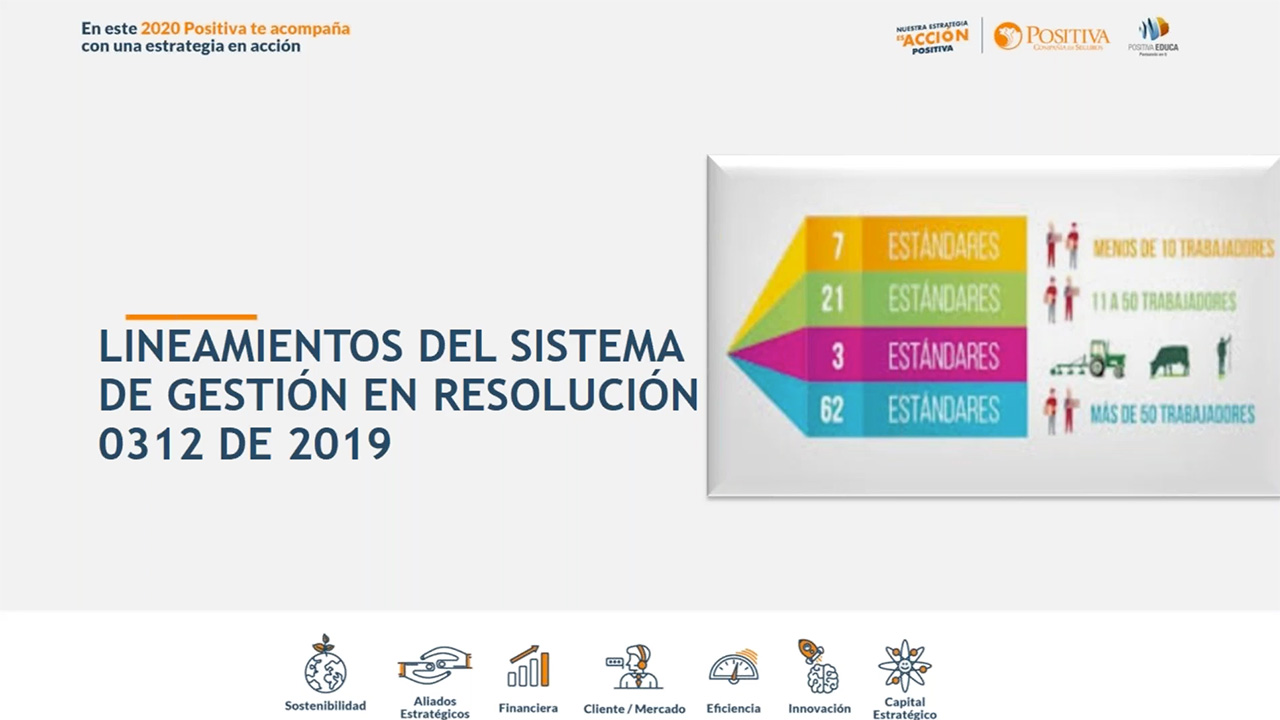 Lineamientos del sistema de gestión en Resolución 0312 de 2019