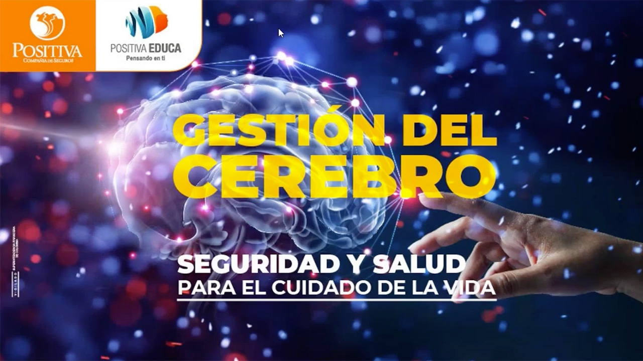 Gestión del cerebro: seguridad y salud para el cuidado de la vida
