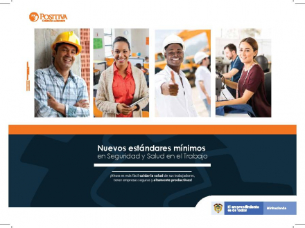 CARTILLA NUEVOS ESTANDARES MINIMOS DE SST-page-001