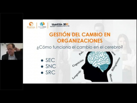 La-neuro-plasticidad-cerebral-y-el-cambio-en-las-organizaciones-