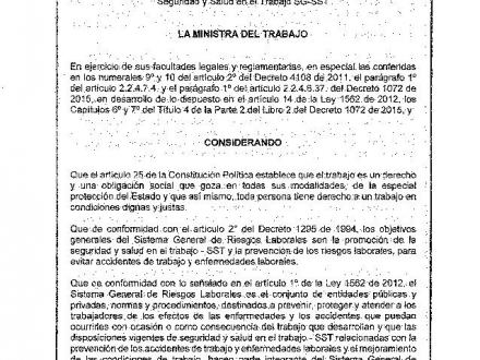 RESOLUCION 0312 DE 2019-page-001