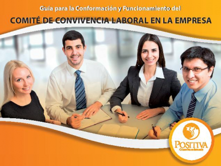 conformacion-funcionamiento-comite-convivencia-laboral-page-001