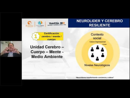 NEURO LÍDER Y EL CEREBRO RESILIENTE UN APORTE DE LAS NEUROCIENCIAS A LAS ORGANIZACIONES