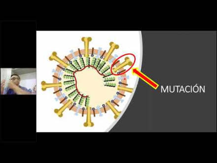 Retorno a la presencialidad seguro en tiempos de COVID-19