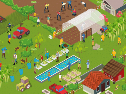 Mapa-completo---Banano