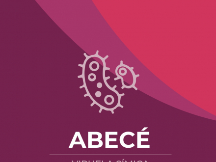 abece-viruela-simica-mono_pages-to-jpg-0001