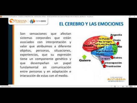 ¿Cómo dirigir al jinete de nuestras experiencias afectivas en S.S.T. para competir en un mundo nuevo?