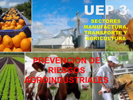 16-Riesgos-agroindustriales-(1)-1