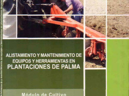 ALISTAMIENTO-Y-MANTENIMIENTO-DE-EQUIPOS-Y-HERRAMIENTAS-EN-PLANTACIONES-DE-PALMA-1