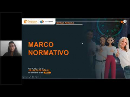 Generalidades del riesgo público