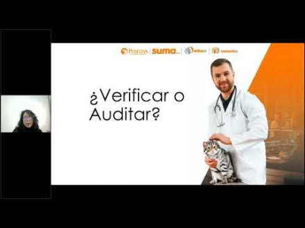 Principios básicos para auditorías exitosas en el PESV