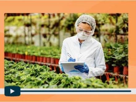 07.-PRESENTACION-SESION-6-PREVENCION-DE-PATOLOGIAS-PORTADA