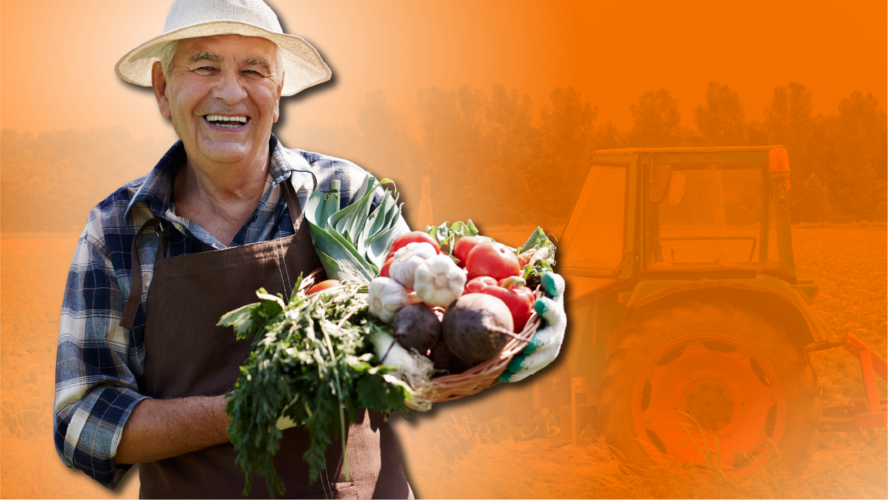 Sector Agricultura - portada