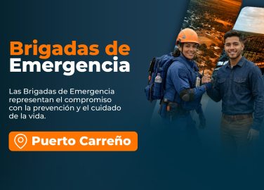 brigadas-de-emergencia-puerto-carreño-presencial