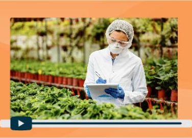 07.-PRESENTACION-SESION-6-PREVENCION-DE-PATOLOGIAS-PORTADA